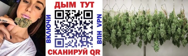 Купить закладку Саянск Гашиш  A-PVP  Мефедрон  Канабис  Cocaine 