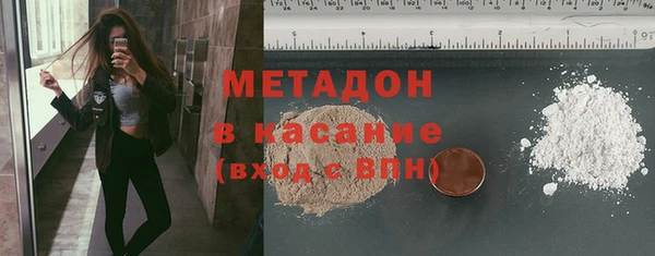 шишки Арсеньев