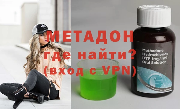 шишки Арсеньев