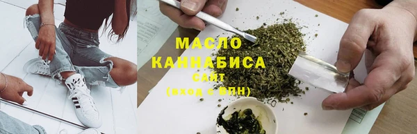 шишки Арсеньев