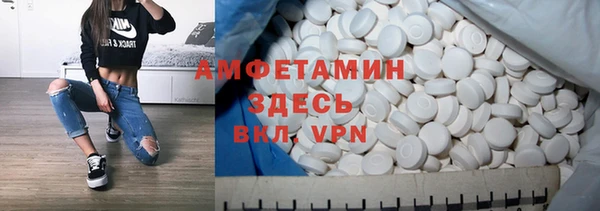шишки Арсеньев