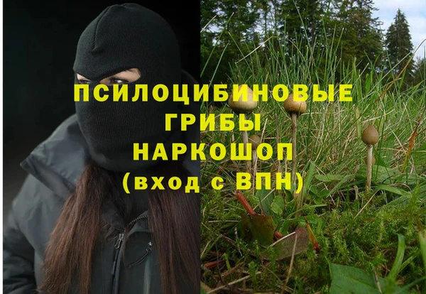 шишки Арсеньев