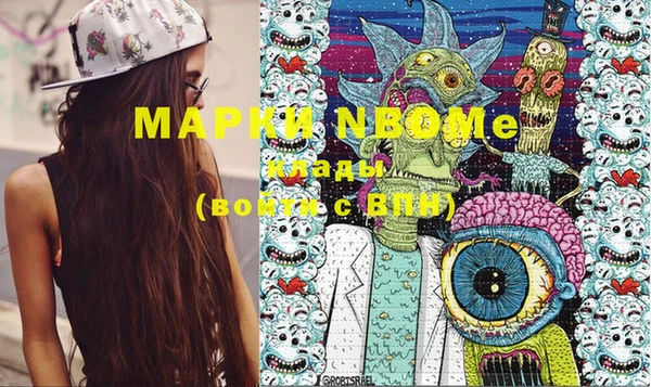 шишки Арсеньев