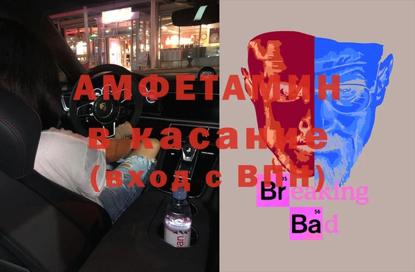 шишки Арсеньев