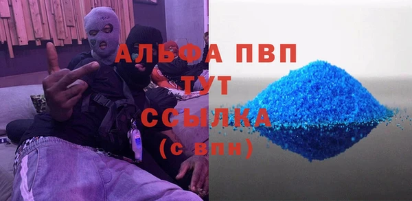 шишки Арсеньев