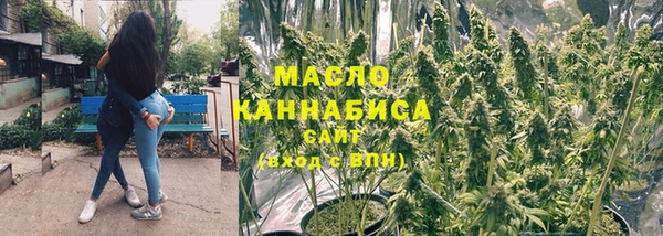 шишки Арсеньев