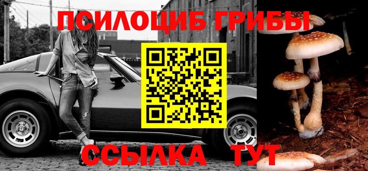 Галлюциногенные грибы ЛСД Саянск
