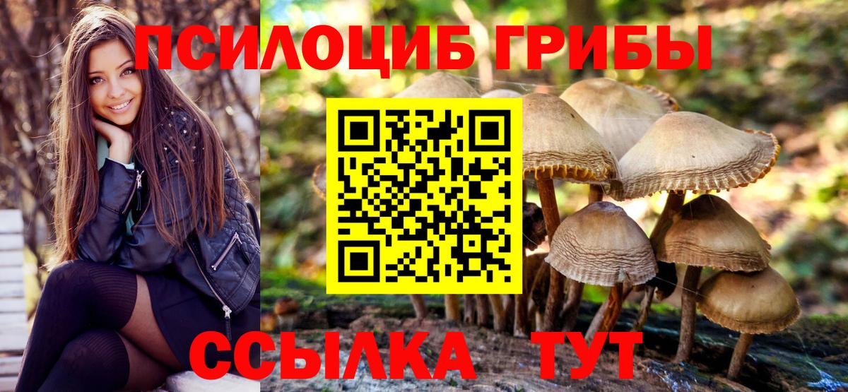 Саянск  Галлюциногенные грибы Cubensis  Вход с VPN 